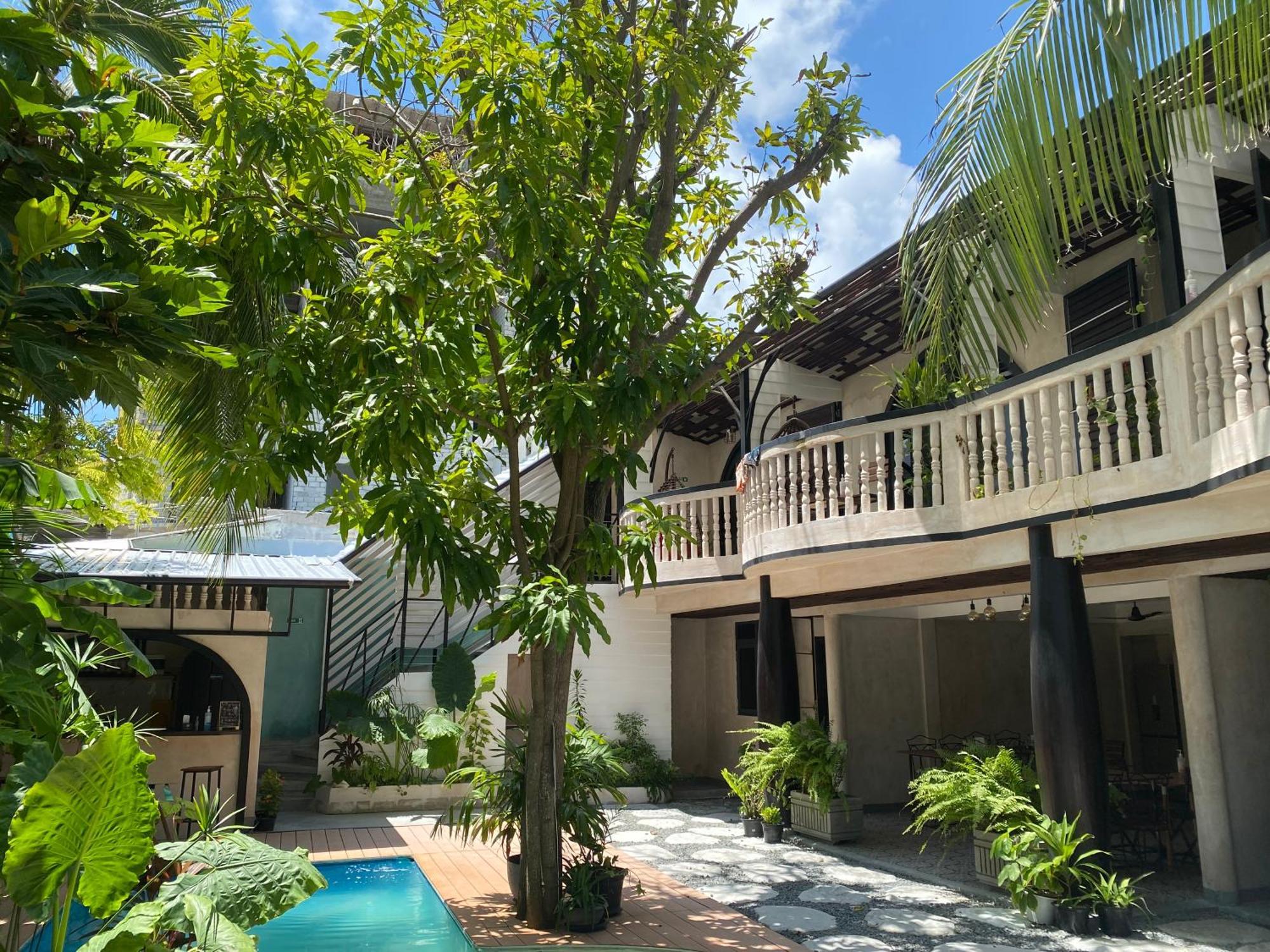 Zinnia Maafushi - Inclusive Airport Roundtrip - Snorkeling - Picnic - Sandbank For 2 Adults With Min 4-Nights Stay - Applicable For Bookings Made From 1St June 2025 Stay Period Till 31St Oct 2025 Exteriör bild